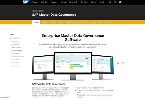 SAP主数据治理 